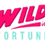 Discover WildFortune.io Casino: An Informative Review