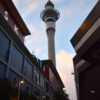 SkyCity Auckland’s Annual Profit Surges Despite Regulatory Hurdles